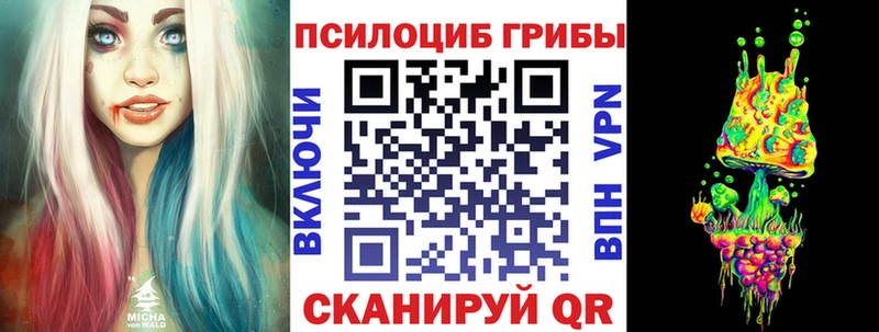 Псилоцибиновые грибы мухоморы  Купить закладки  Соль-Илецк 